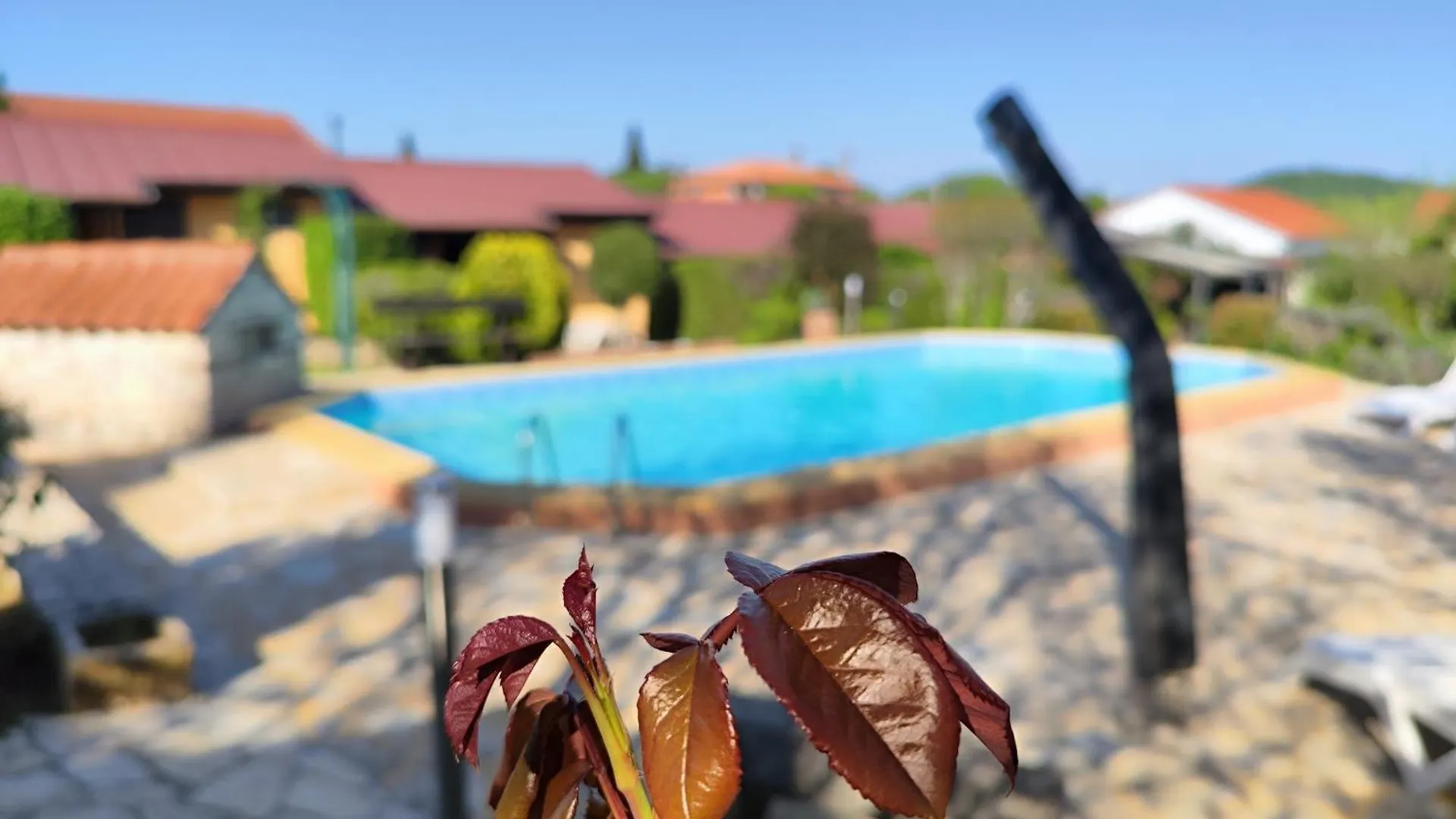 Poolside Compact Family Cottage Bella Rovinjsko Selo Croatia